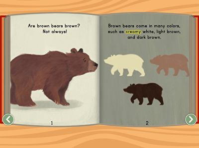 Brown Bears Story