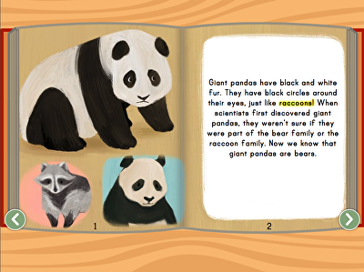 Giant Pandas Story